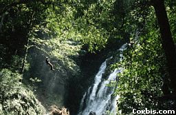 A Beautiful Waterfall Is Observed By A Tourist In The Rainforest
